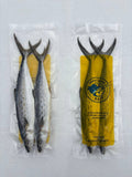 Unrigged Spanish Mackerel