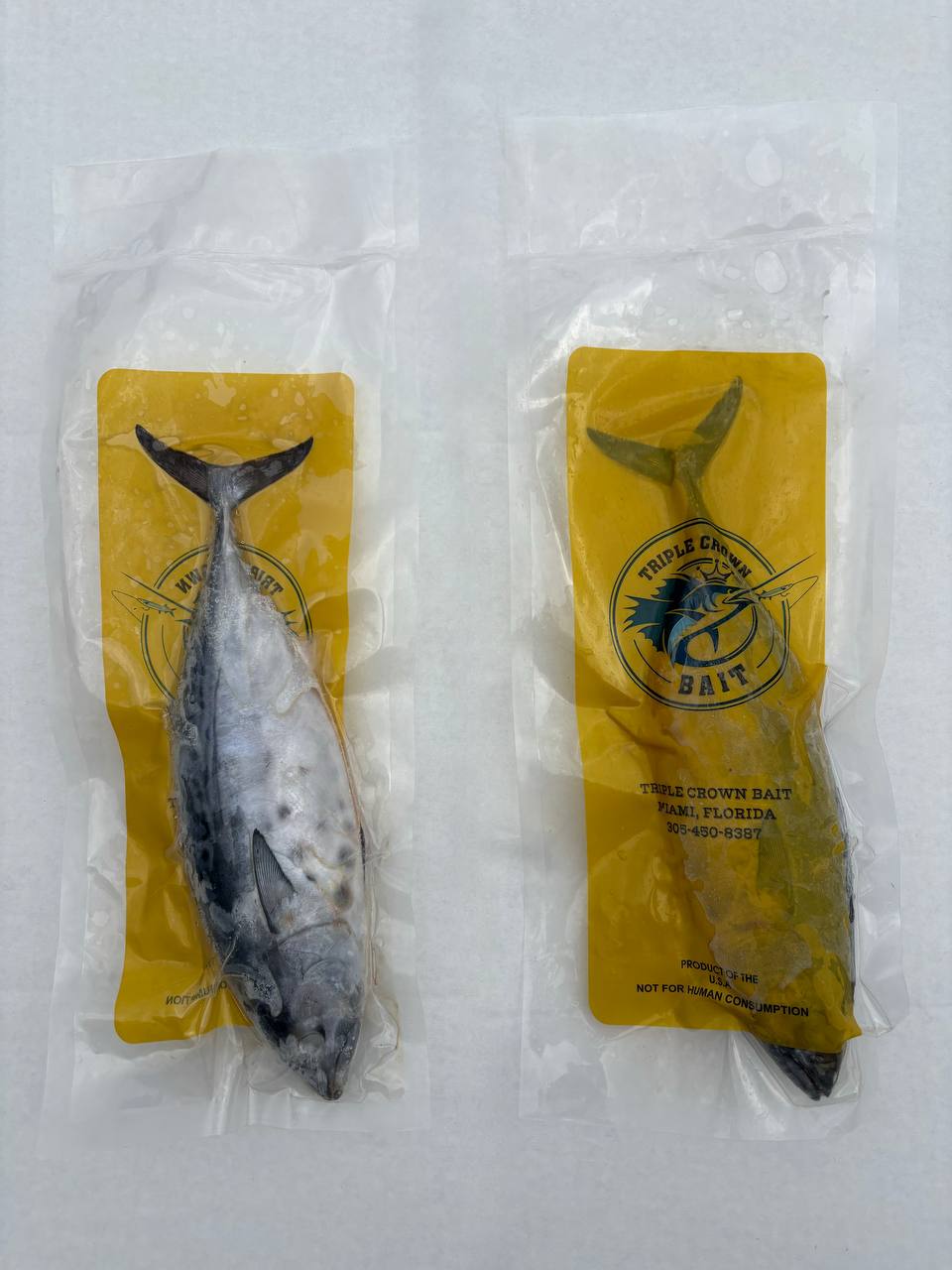 Unrigged Bullet Bonito